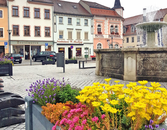 Blumenkübel auf dem Radeburger Markt