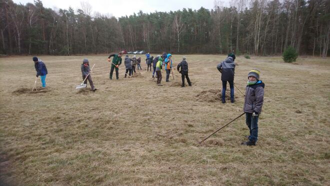 Die Forstwiese im NSG Waldmoore 