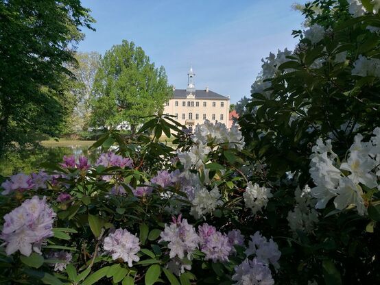 Blick über den Spiegelteich auf Schloss Lauterbach