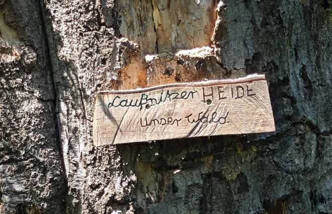 Auch eine Form der Meinungsäußerung: ein Schild am Buchberg.