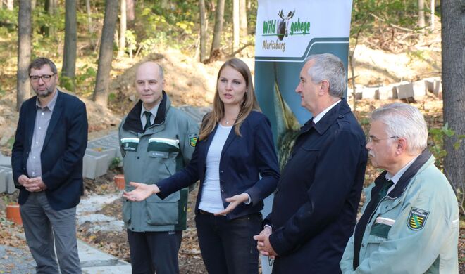 v.l. Bürgermeister Jörg Hänisch, Forstbezirksleiter Dr. Markus Biernath, Wildkatzenschützerin Theresa Warnk, Staatsminister Thomas Schmidt und Landesforstpräsident Prof. Dr. Hubert Braun