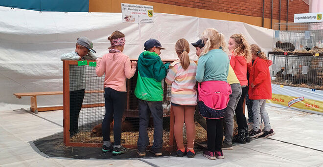 Aug großes Interesse bei den jüngsten Besuchern stößt der „Kaninchen-Kindergarten“. Foto: S. Schäfer