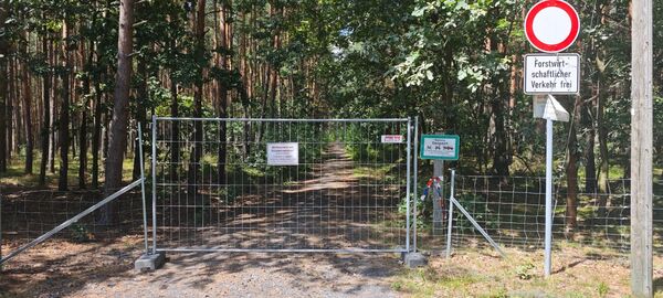 Zwischen Radeburg und Thiendorf sind östlich der A13 Waldwege weiter mit Sperrzäunen versehen,