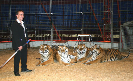 Franceso da Capo mit seinen vier Tigern